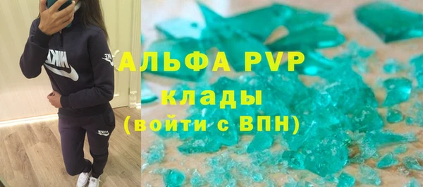 стаф Алзамай