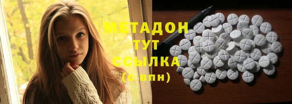 стаф Алзамай