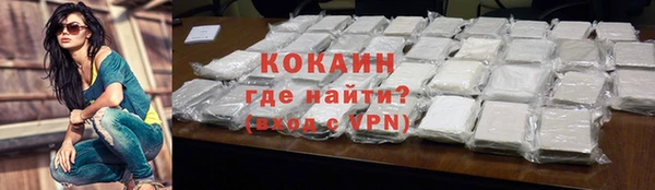 стаф Алзамай