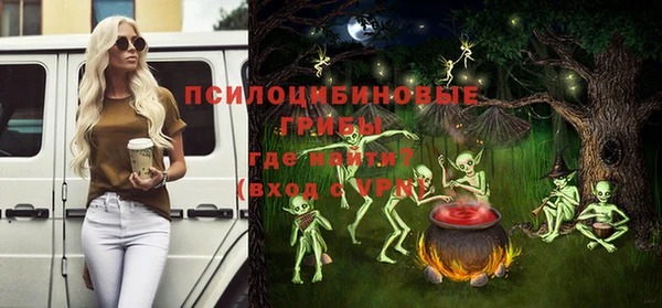 стаф Алзамай