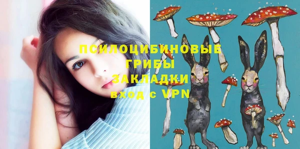 стаф Алзамай