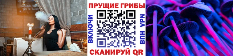 Галлюциногенные грибы мицелий  даркнет состав  Протвино 